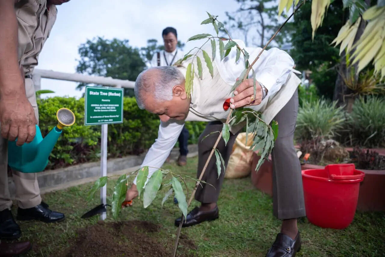 2cadd3b6-33f4-4f37-8f98-1d366bfc682e_Mizoram_Governor_Gen._VK_Singh_plants_a_sapling_of_the_State_Tree_Herhse_at_Lok_Bhavan_premises_in_Aizawl..jpeg