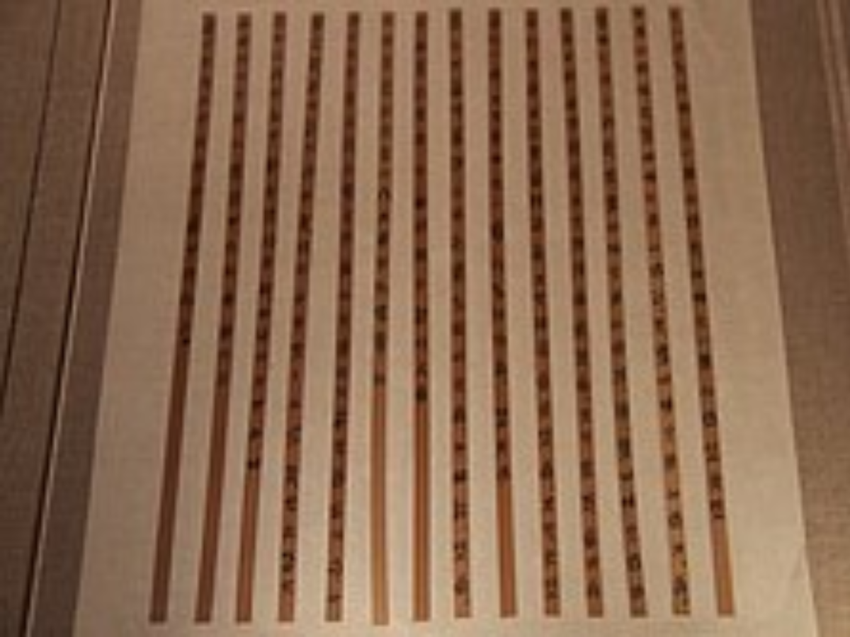 Bamboo and wooden slips