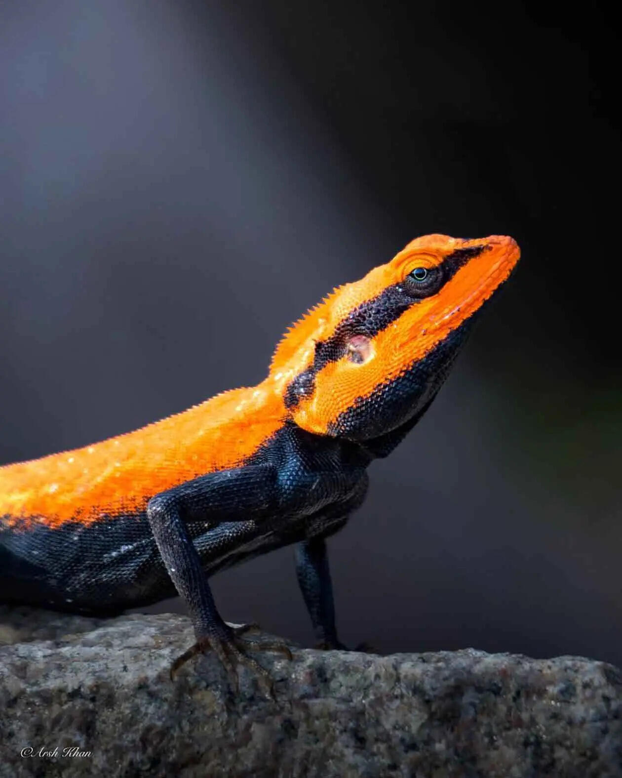 Photograph by Arsh Khan