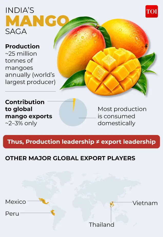 India’s  mango saga