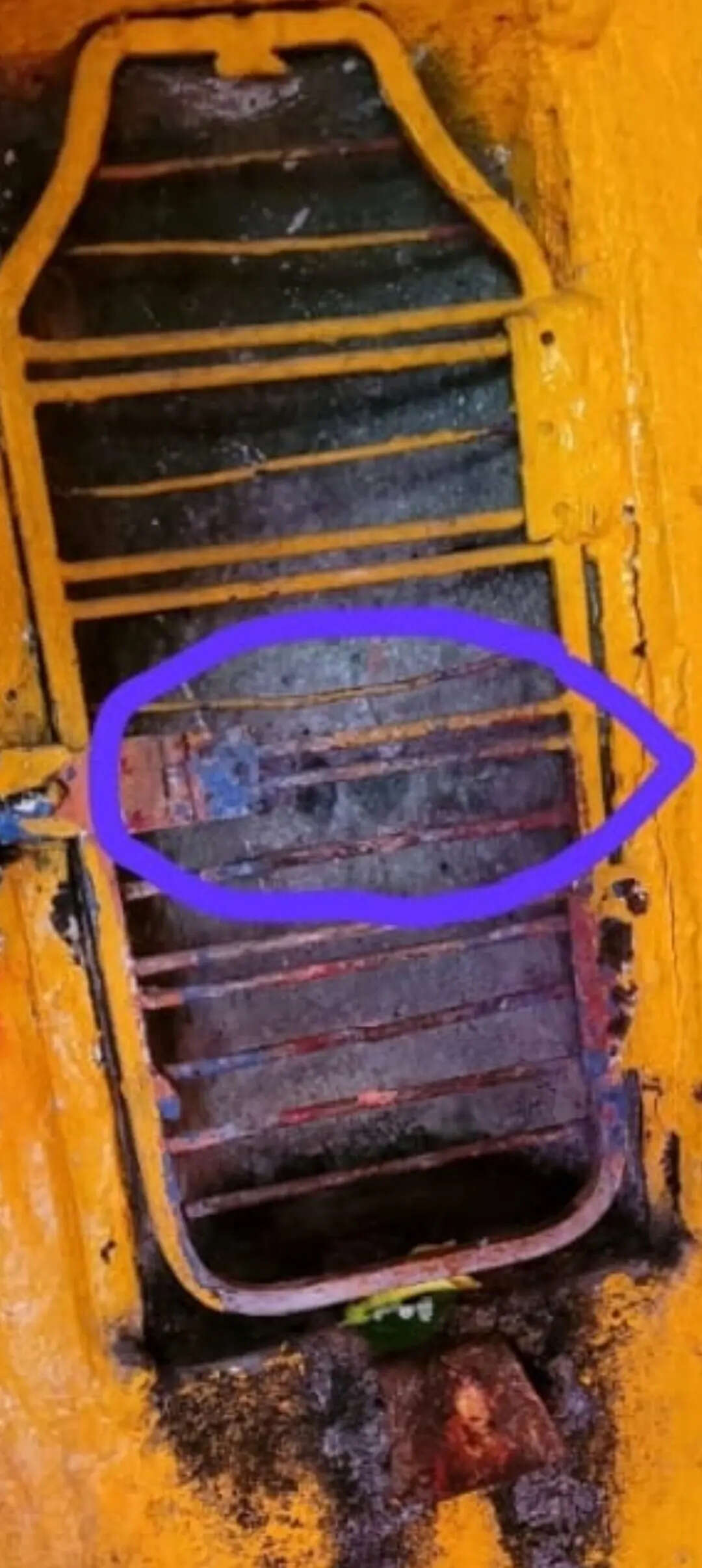 126a22ba-9a87-4d61-9772-509801661ee5_Broken_lock_of_the_gate_of_the_sanctum_sanctorum.Vishvendu_Jaipuriar.jpg