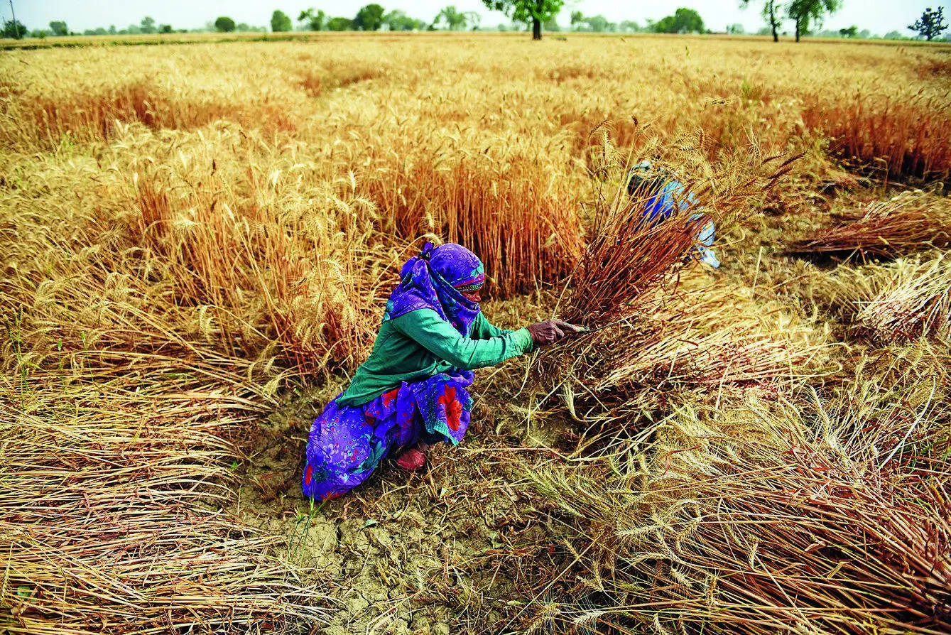 Jewar village before land acquisition.jpg