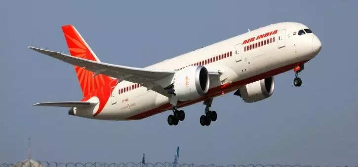 Tata Group tells Air India to focus on cutting losses