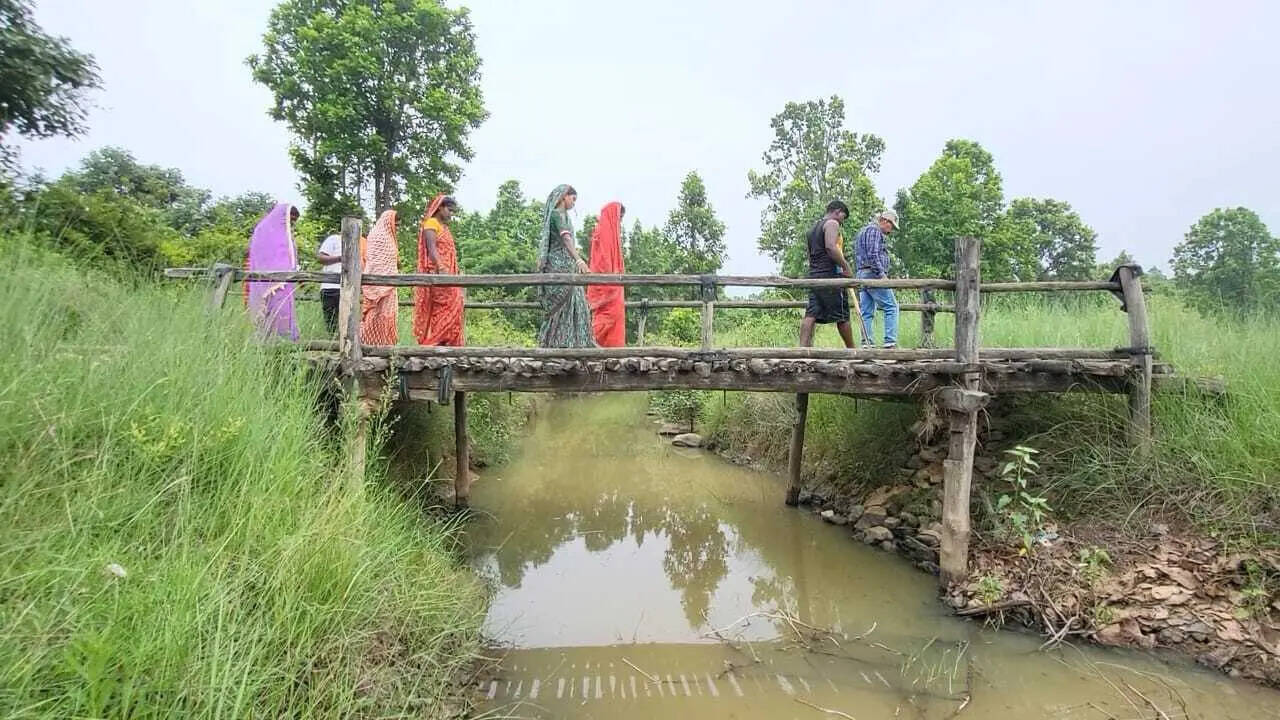 070acf5e-9033-48be-9d66-c3e481fe7a6d_Bamboo_bridge.Vishvendu_Jaipuriar.jpg