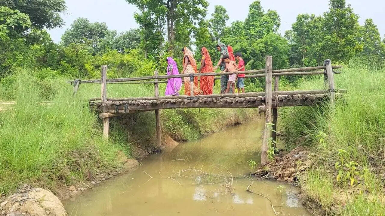 8ce236d6-cde5-448a-a83c-3e9c304d284e_Women_cross_the_bamboo_bridge.Vishvendu_Jaipuriar.jpg
