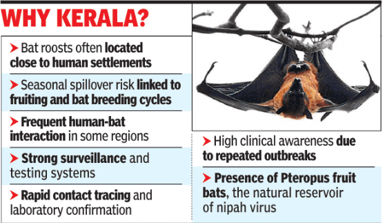 nipah hotspot