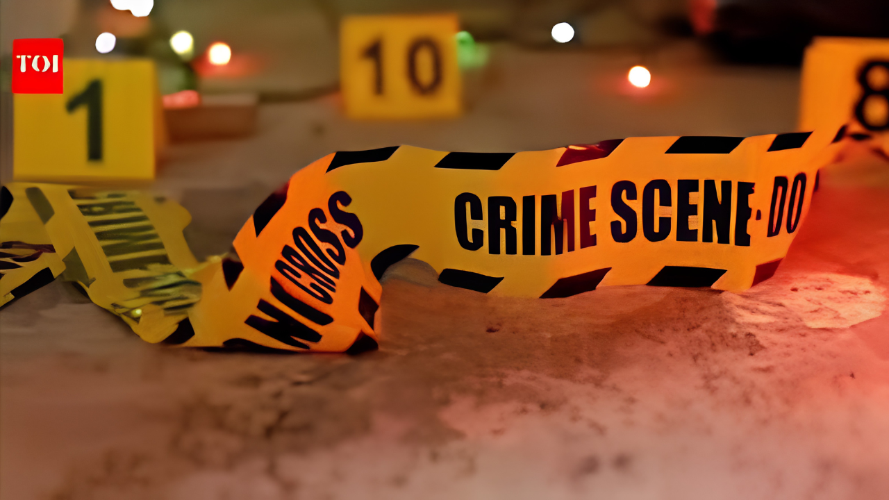 STF kills accused in Vijay Saini murder case in Jhajjar encounter; inspector injured
