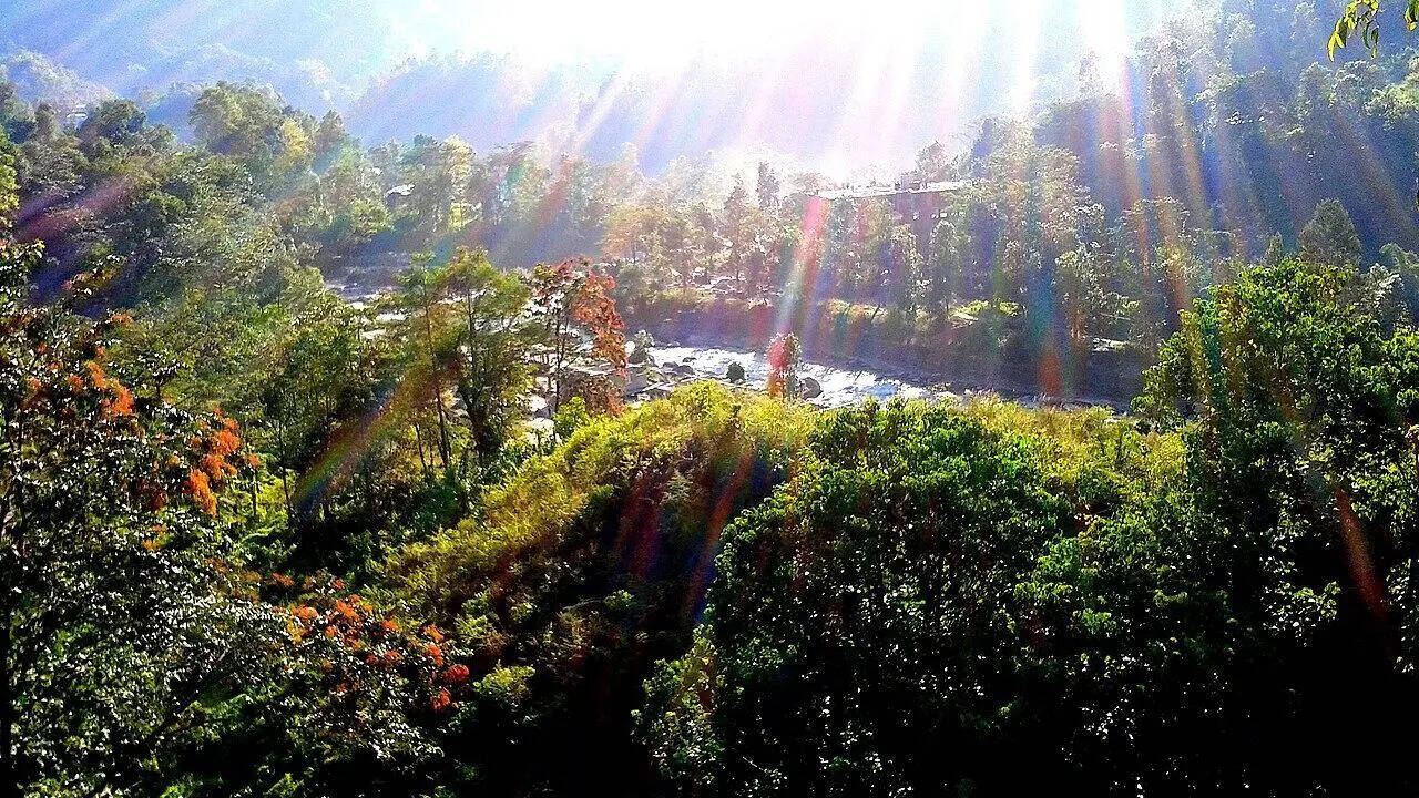 5. Saramsa Garden