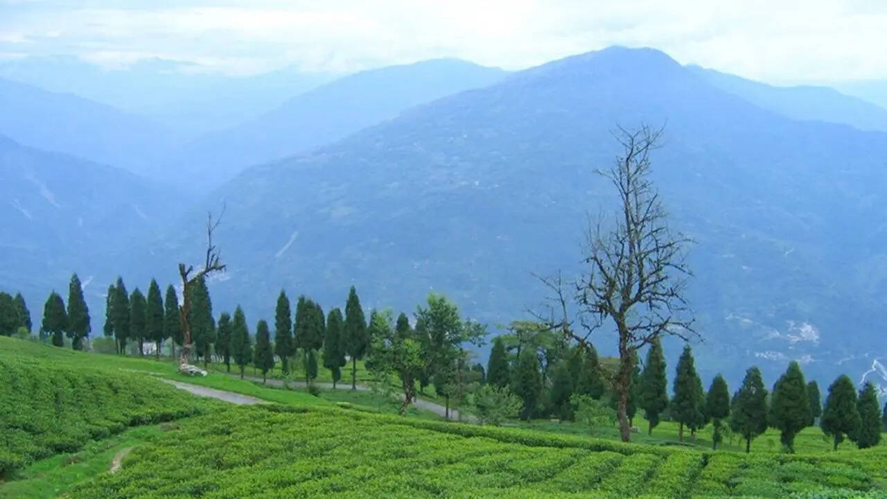 15. Ravangla