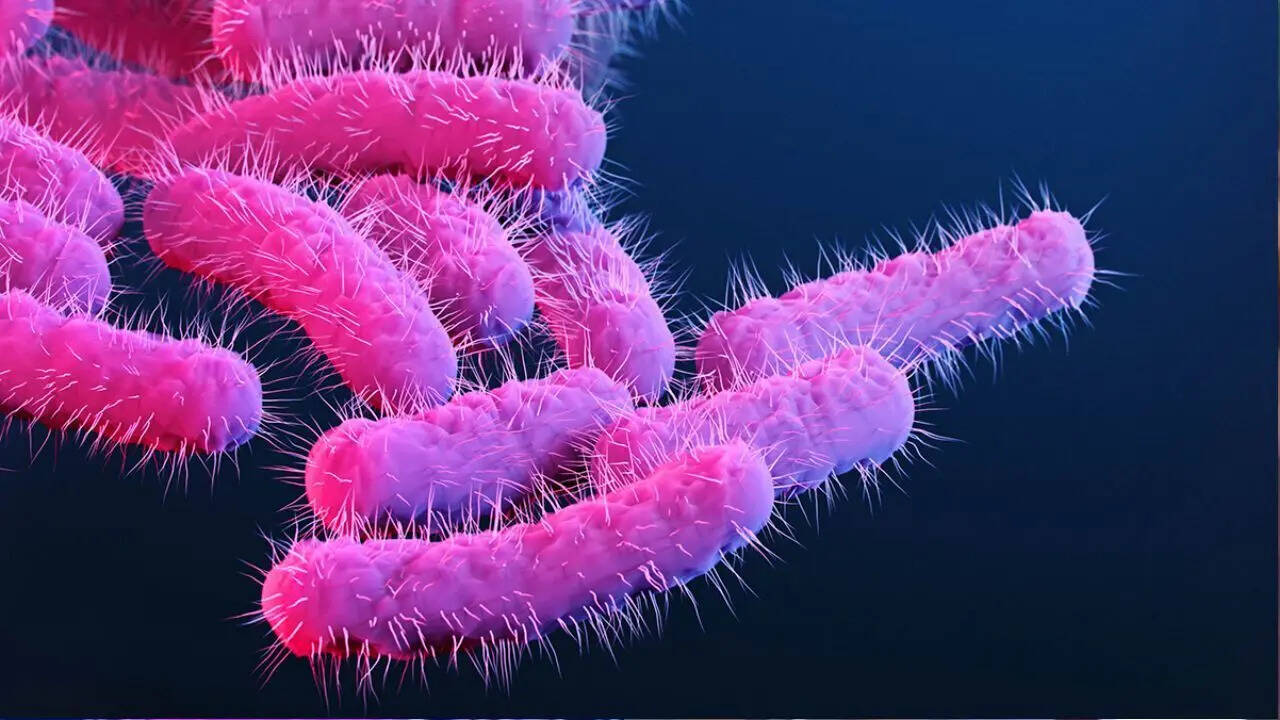 Shigella toll rises in Kerala: Seven-year-old fourth victim this year