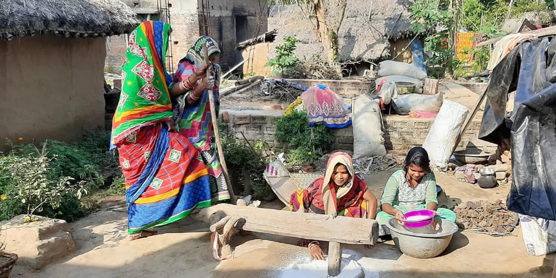 b07572a9-0e05-476e-b9b8-aaf2837f43f3_2-_women_using_dhenki_to_prepare_rice_power_1.jpg