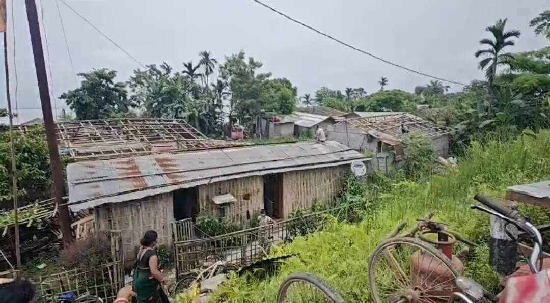 08a538ed-c1d7-4346-b074-10efe2796276_Eviction._.jpg