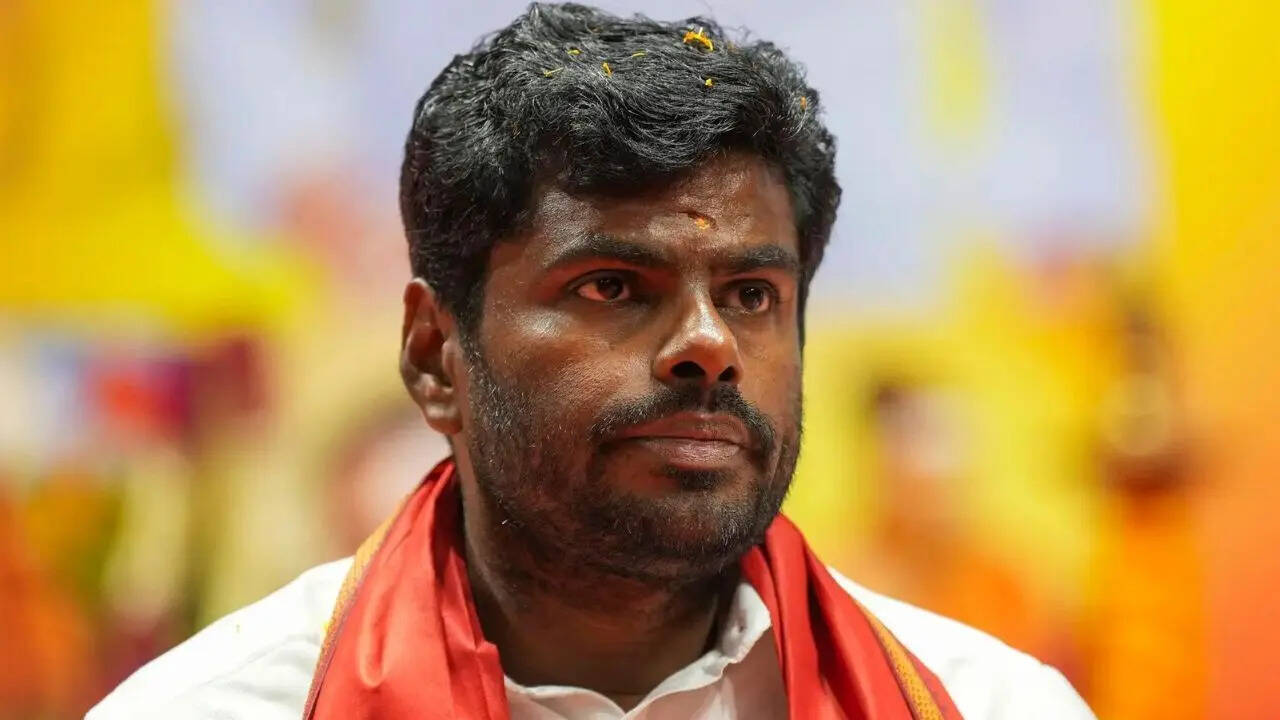 'Increase in crimes involving North Indians': Annamalai demands stricter checks on migrants