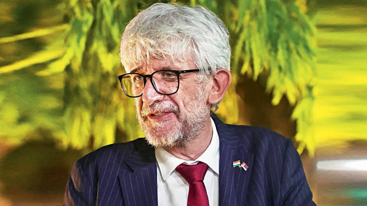Siniša Pavić, Ambassador of Serbia