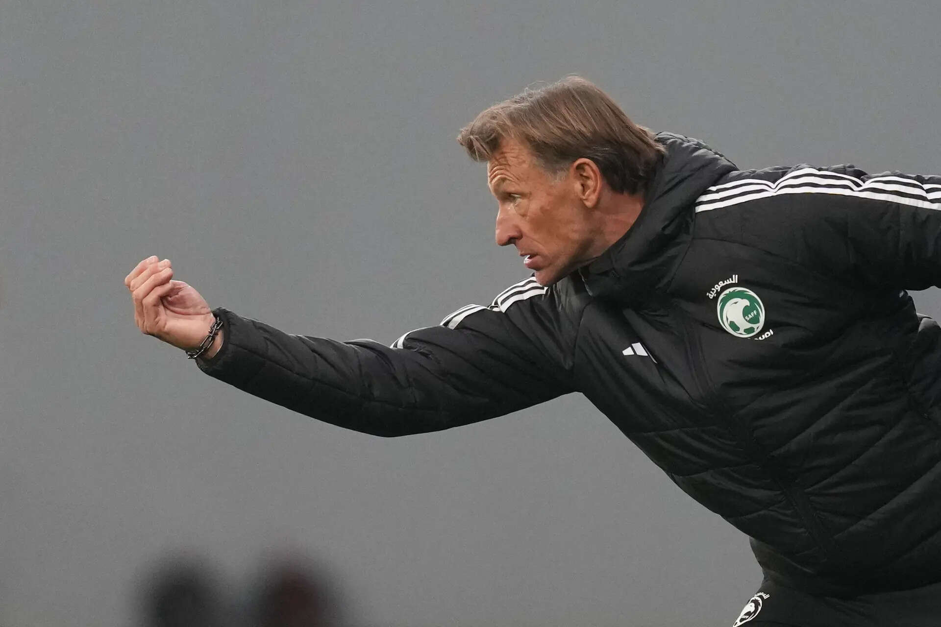 herve-renard.jpg