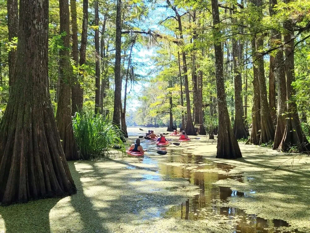 LastWildernessTours_Paddle (1)