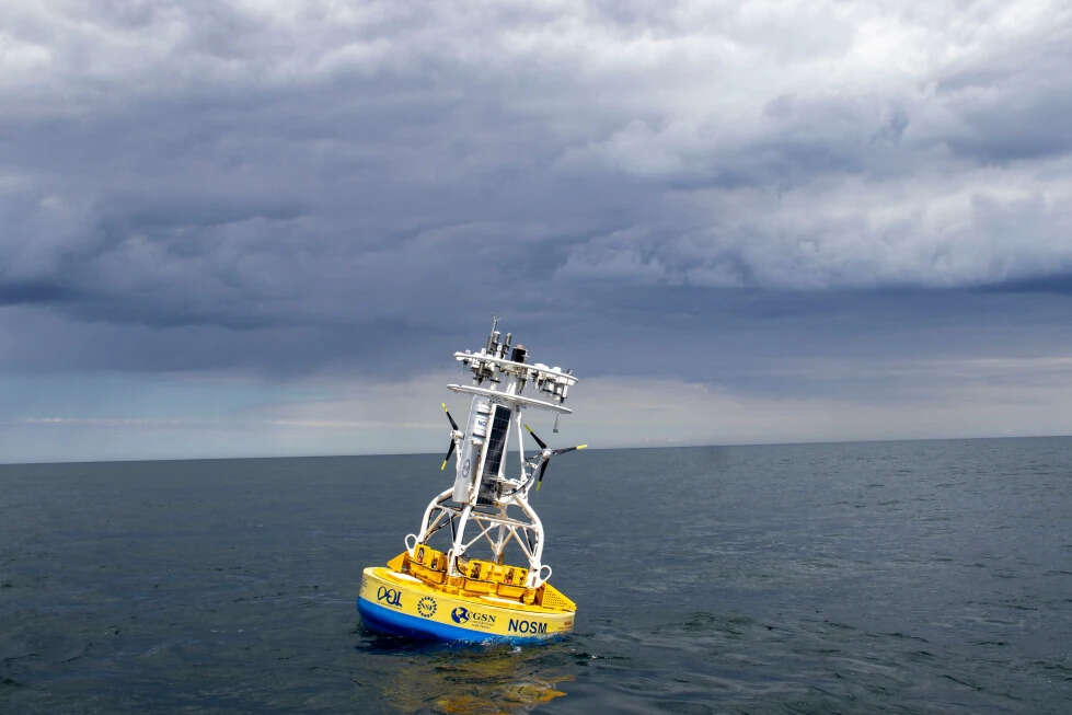 Darlene Trew Crist/Woods Hole Oceanographic Institution via AP download (1).