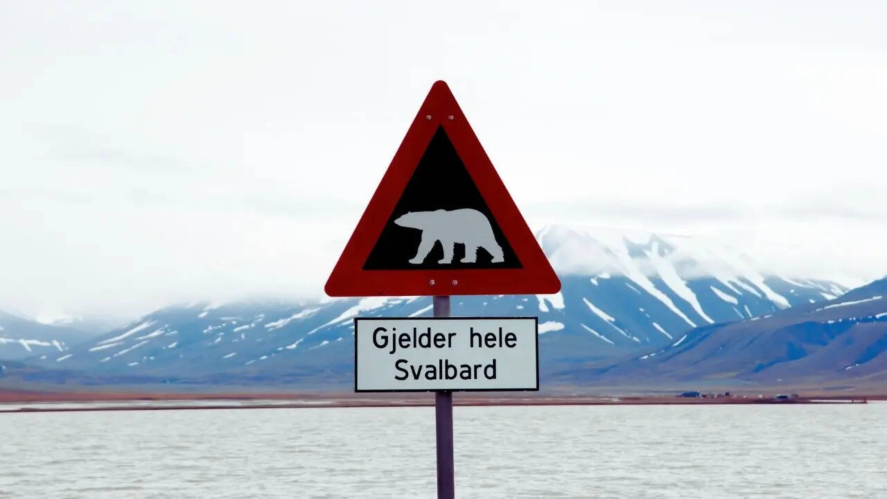 Polar bear sign in Svalbard