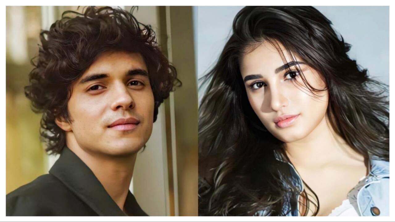 Abhay Verma and Rasha Thadani