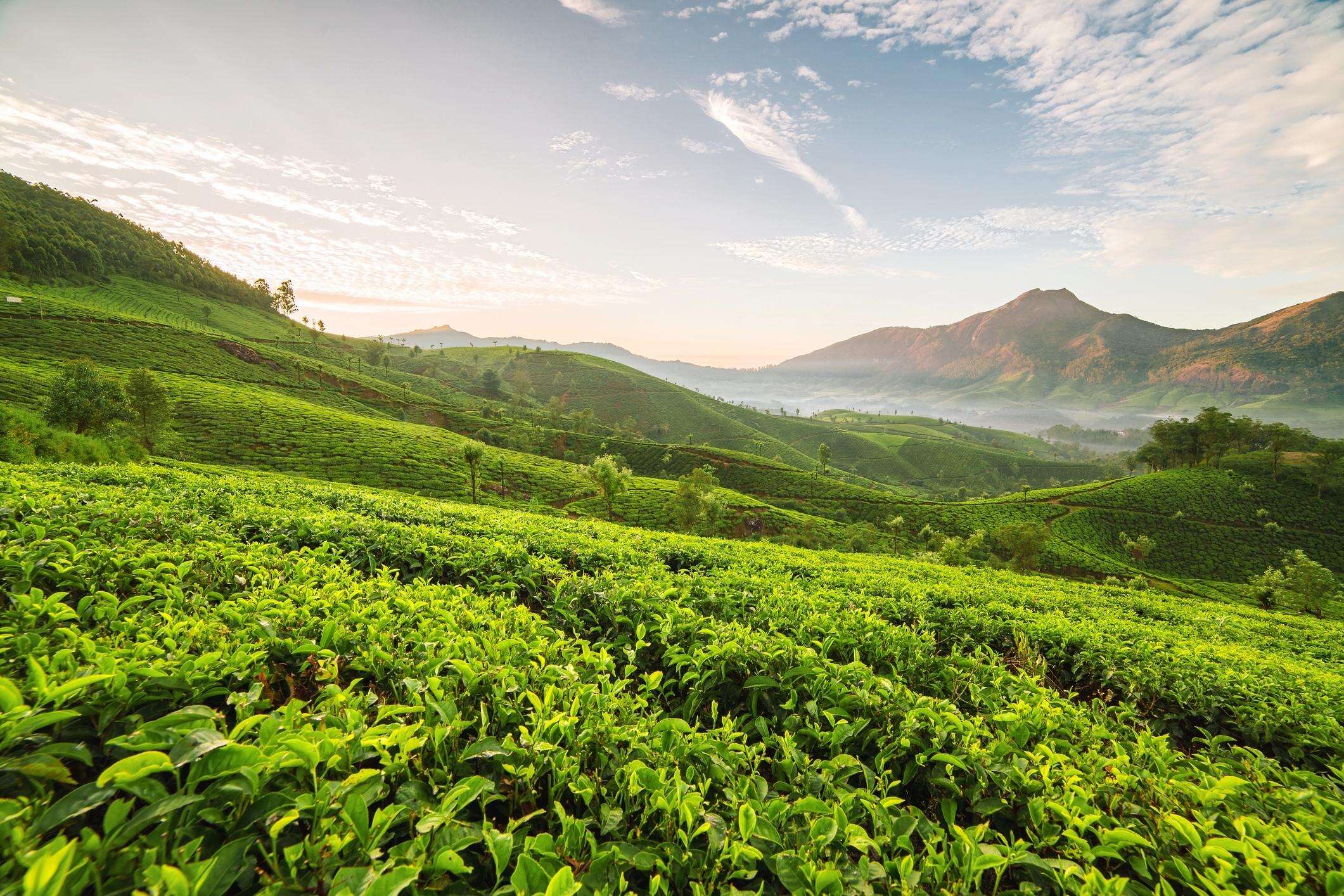 Kerala Budget signals ‘Land Reforms 2.0’ to review land laws
