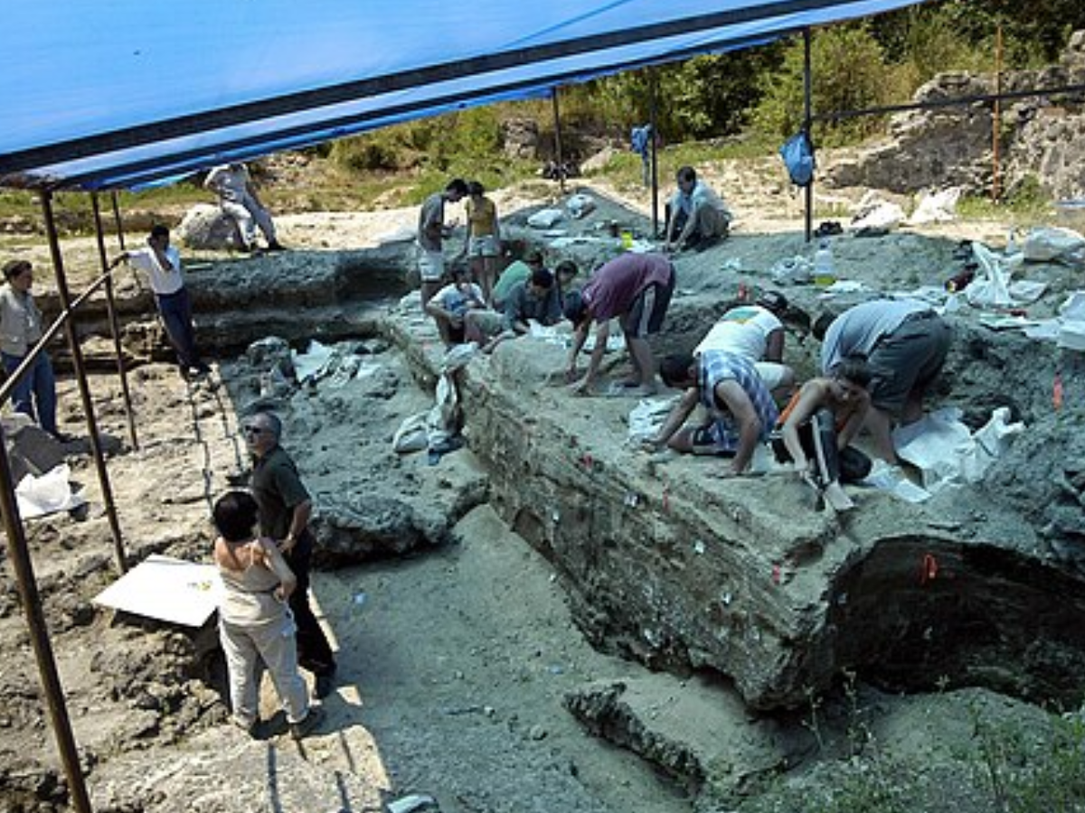 Excavation site at Dmanisi in 2007 Image Credit Wikimedia Commons