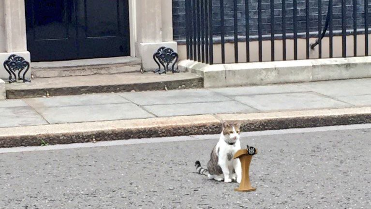 As Keir Starmer announces exit, 'chief mouser' Larry the Cat stays on awaiting PM no 7