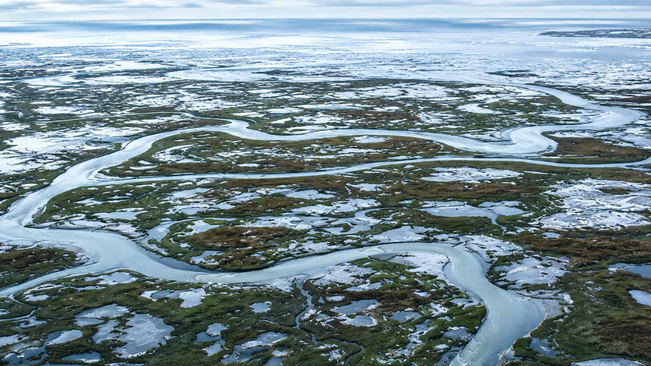 Arctic alarm: Earth’s frozen carbon stores in the Arctic may stop absorbing CO2 and start releasing it by the 2050s