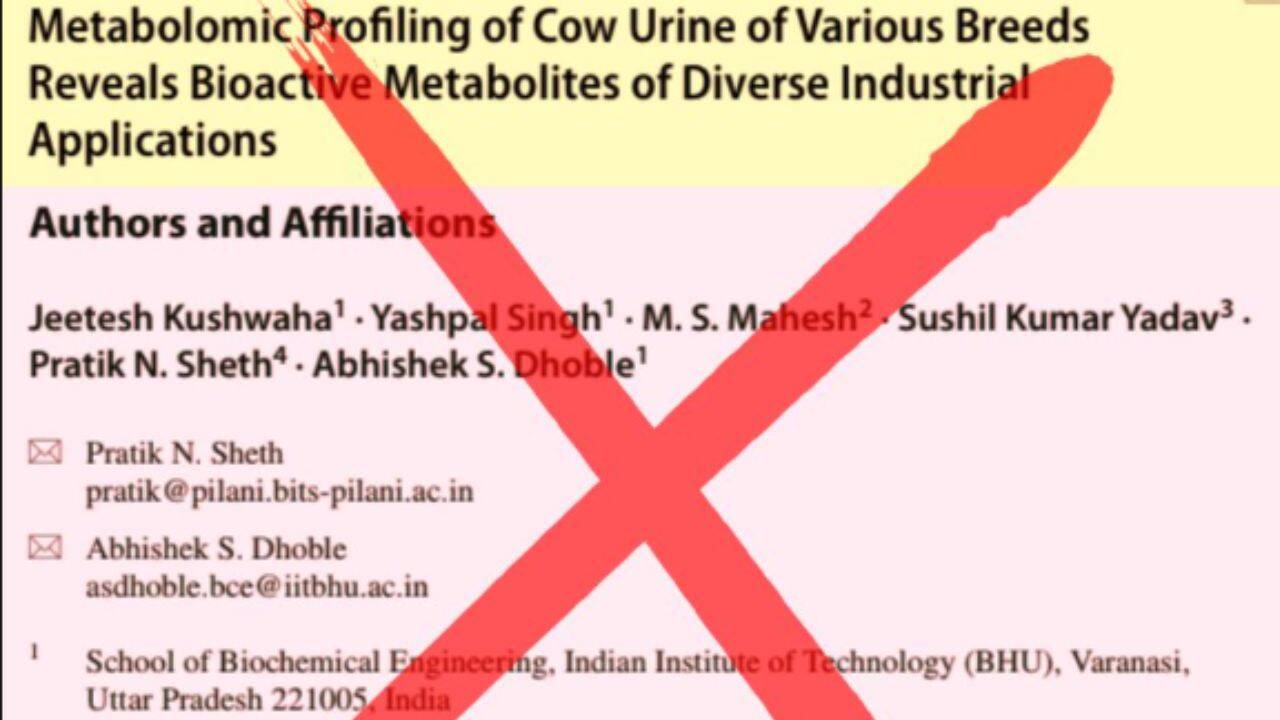 'Grossly misinterpreted': Hepatologist challenges findings of IIT-BHU cow urine study