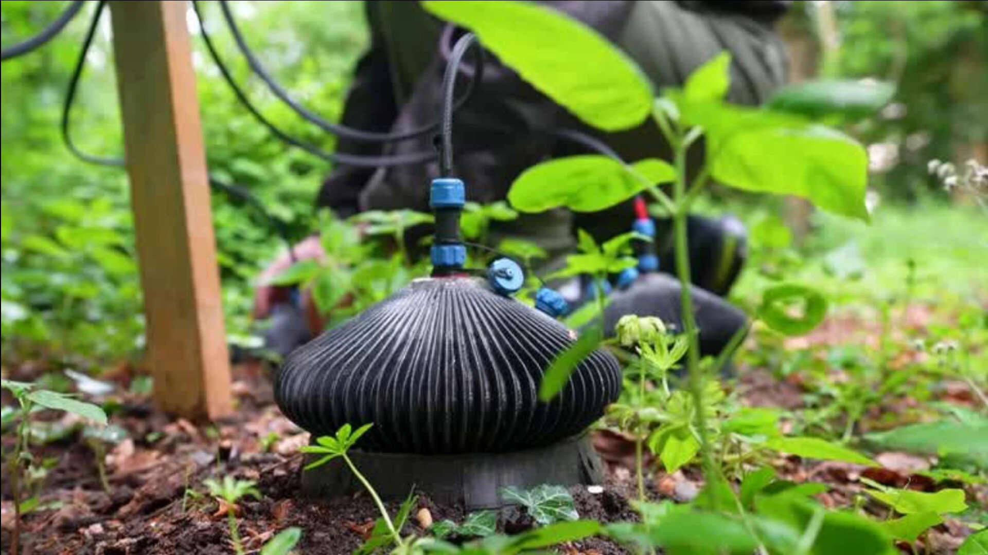 Garden Soil Powers Electronics: Bactery taps microbes for clean energy; aims at farm sensors and future homes