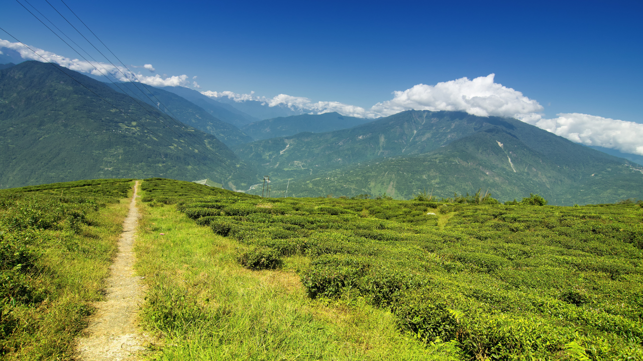 Ravangla