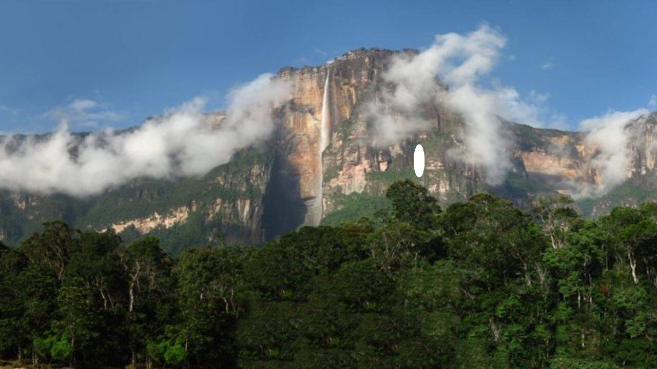  The 979-metre wonder hidden above the rainforest