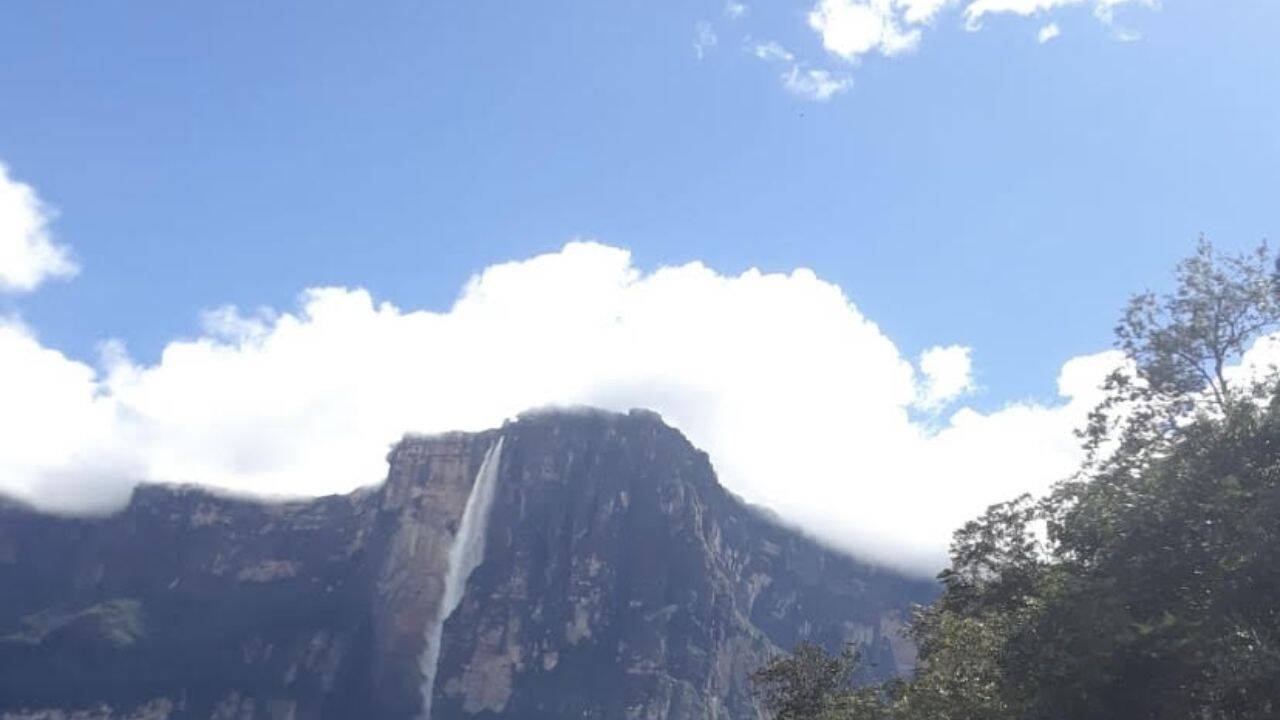  The 979-metre wonder hidden above the rainforest