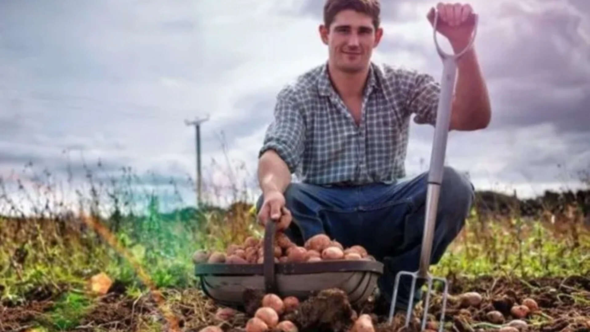 German proverb of the day: 'The stupidest farmers have the biggest potatoes'