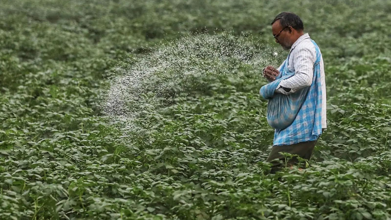 Green urea push: Centre plans 7.24 lakh MT green ammonia procurement to reduce fertiliser imports