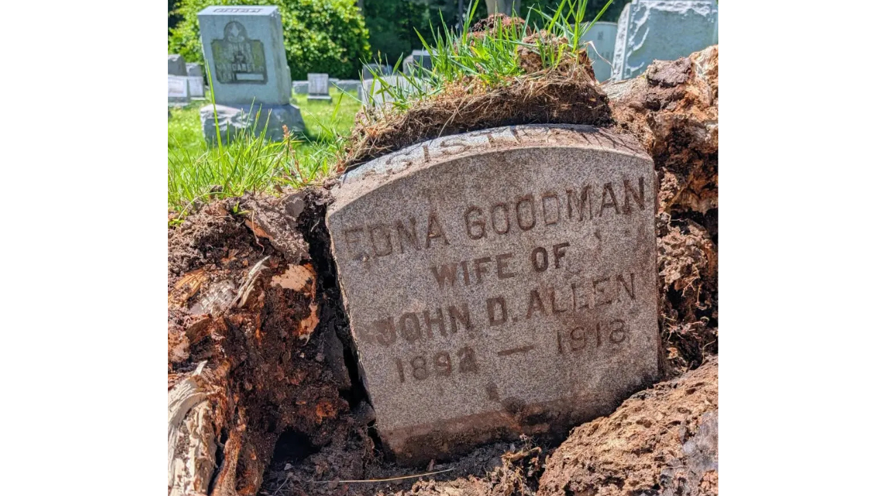 Storm discovery: Grave hidden for more than 100 years uncovered after New York storm topples giant tree