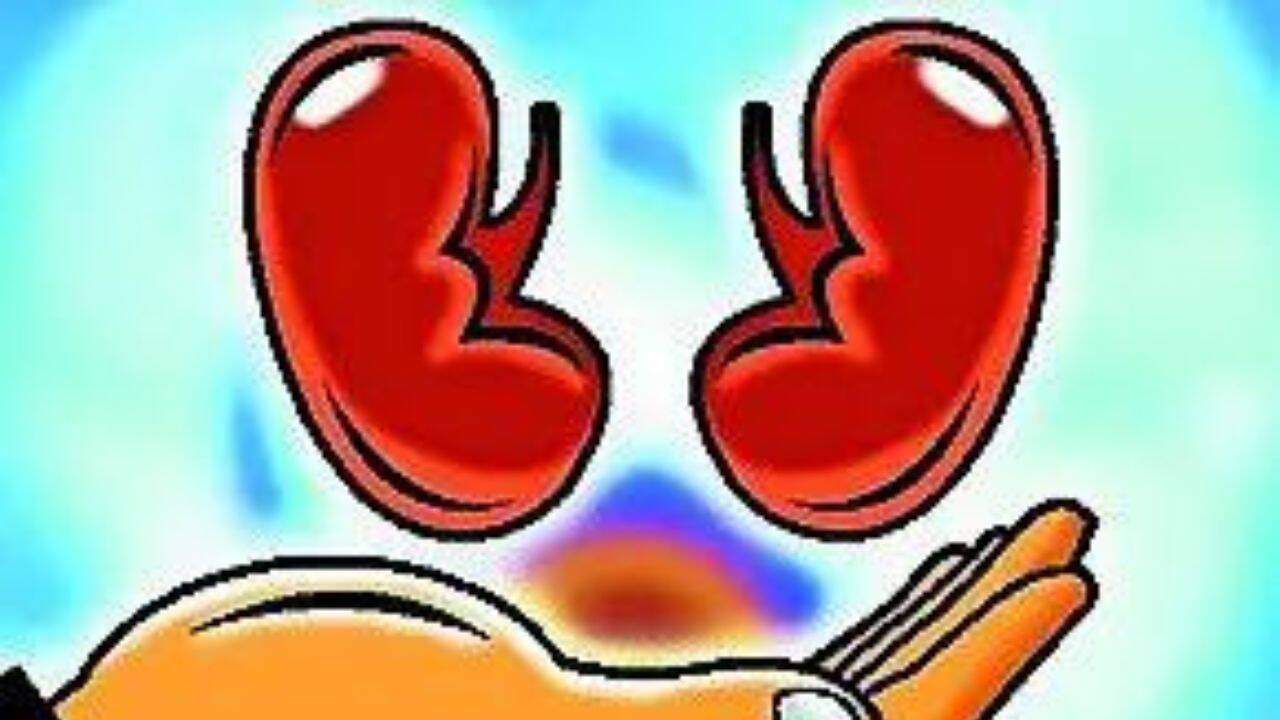 New Rule Forces Indian Hospitals to Publicly Reveal Kidney Transplant Success Rates