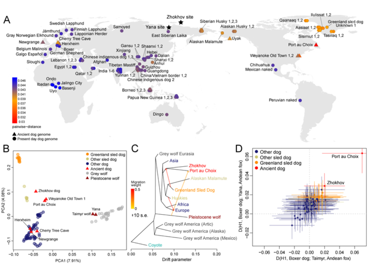 PubMed Geographic location of the samples and overall genetic affinities.