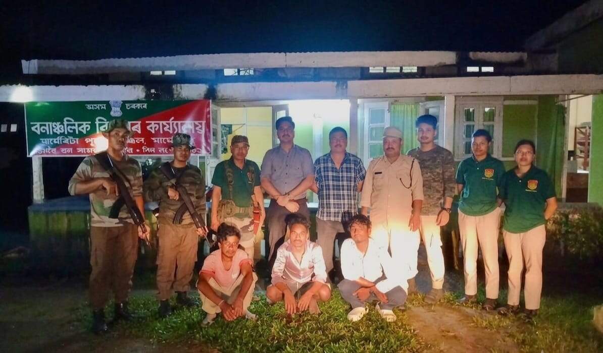 12ee635c-3f3c-4937-8040-7942404324b0_Hornbill_arrest.jpg