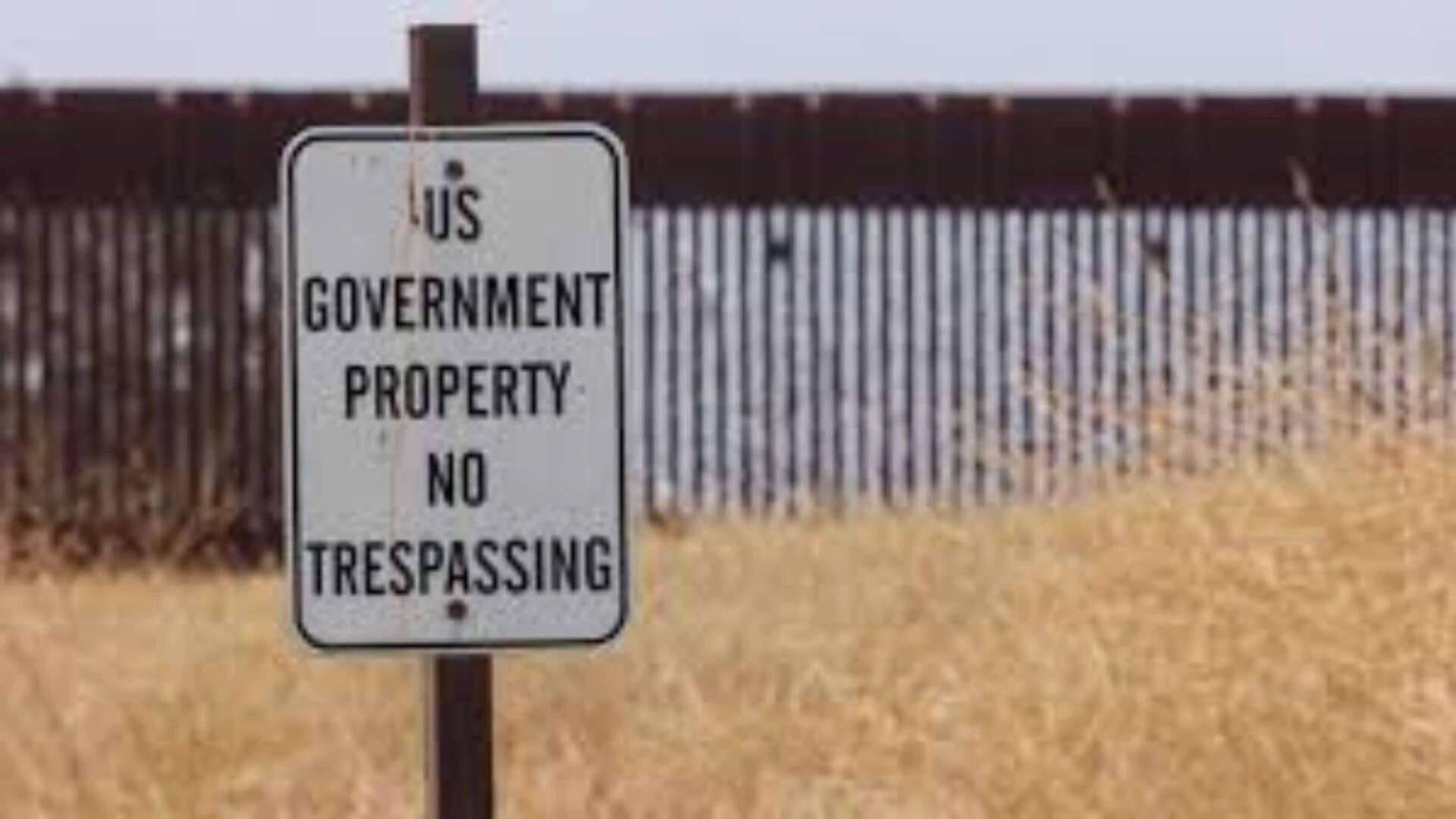 Trump ally tells migrants to seek permanent status or leave US: 'Fill out paperwork or...'