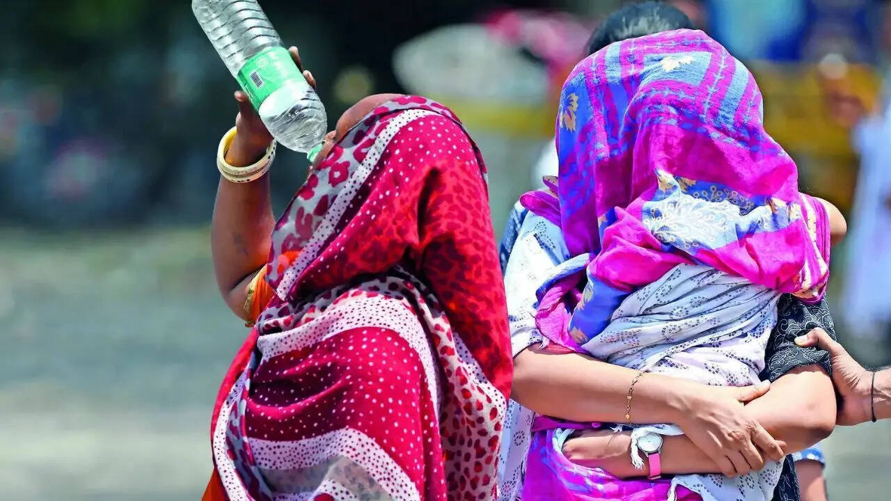24-hour heat stress: Day 'feel' 50°C, night warmest in 2 years