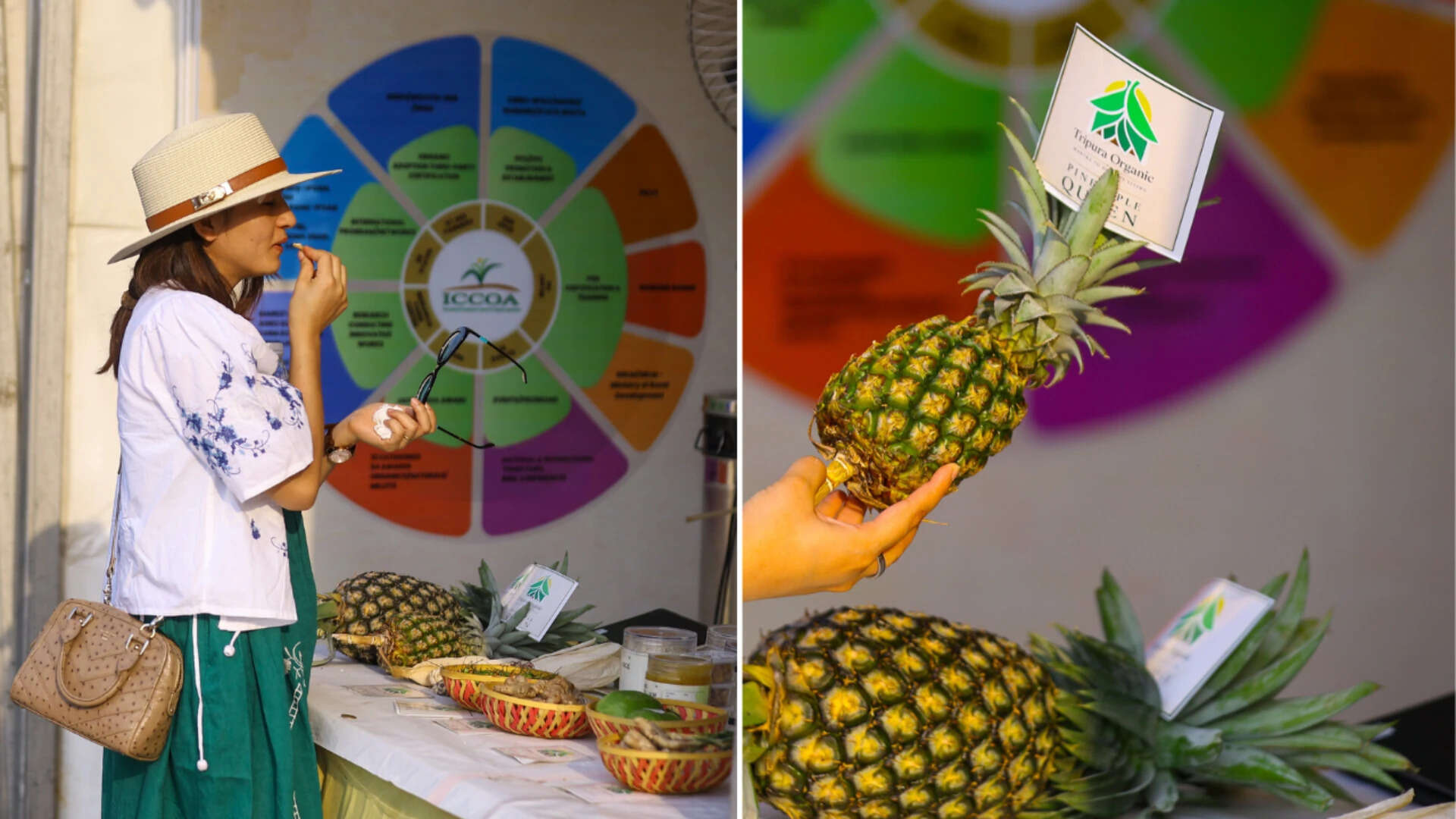 The festival features 25 exhibition stalls showcasing fresh pineapples, processed food products, handicrafts, and other products from Tripura