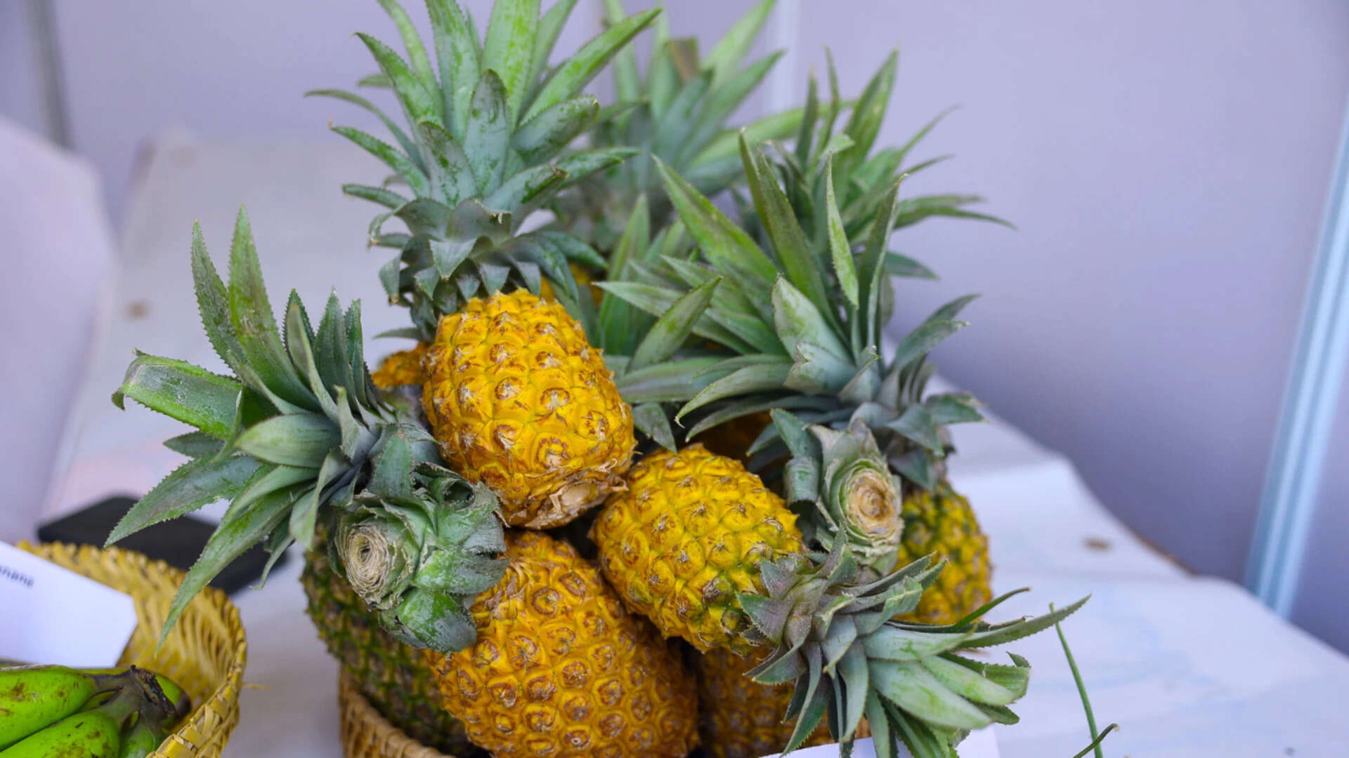 Beyond fresh fruit, Tripura is also promoting pineapple-based value-added products such as juices, jams, candies, dehydrated slices, sauces, and vinegar