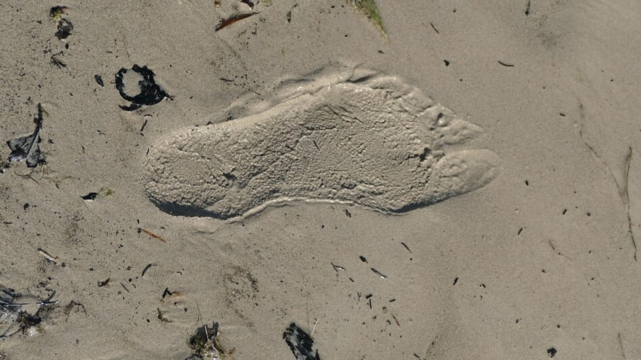 human footprint