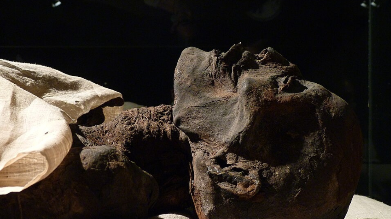 The preserved remains of a Peruvian mummy
