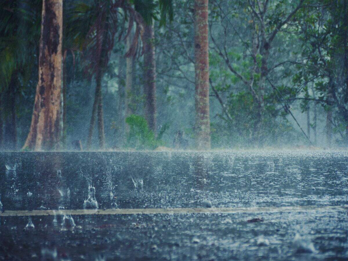 Rain alert