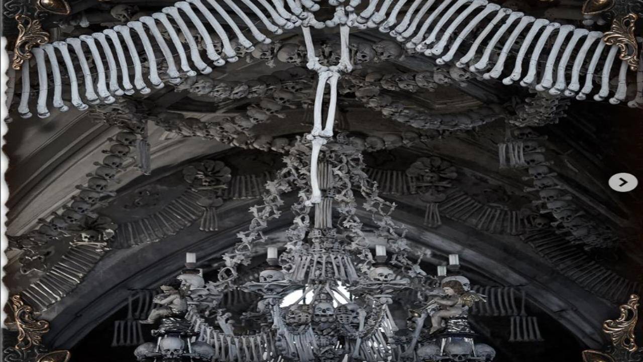 Bones