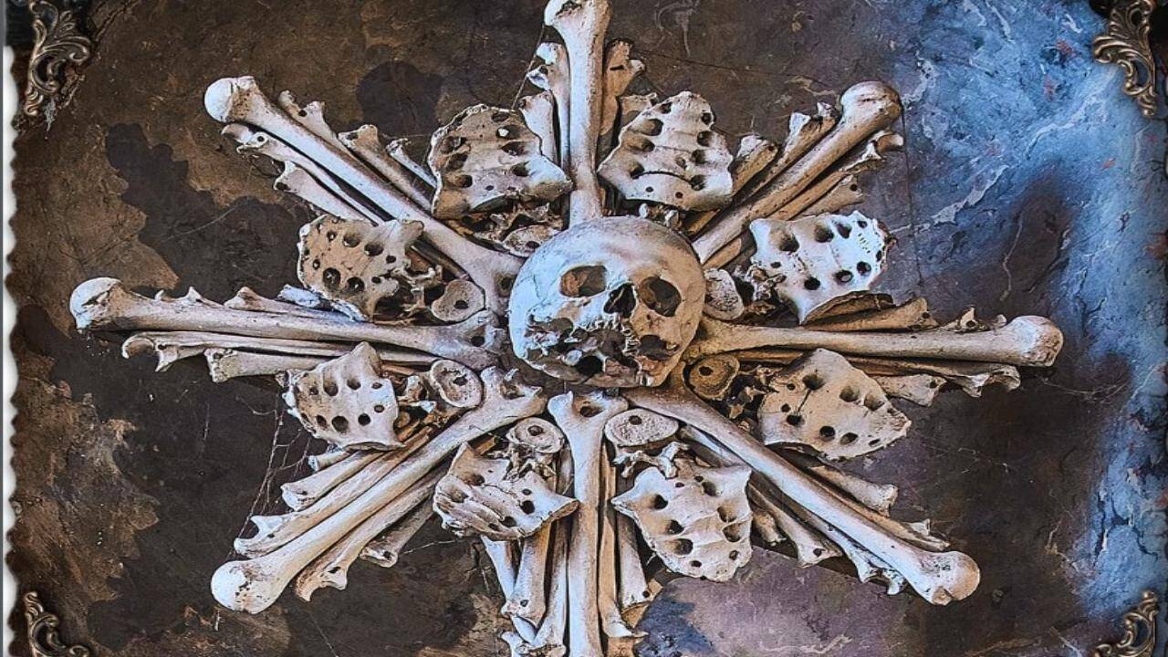 Church bone