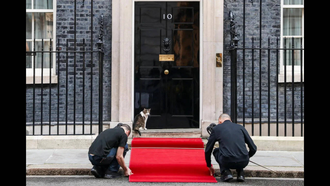 Larry the Cat watches as workers roll out a red carpet for Nigerian President Bola Tinubu outside 10 Downing Street in London