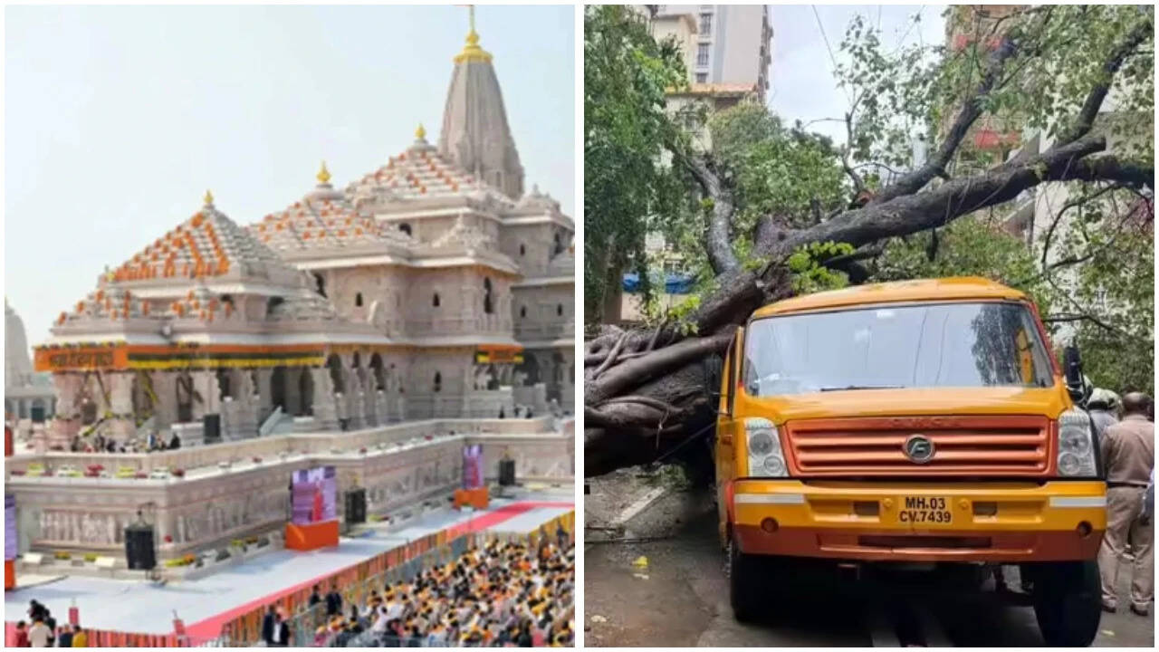 Evening news wrap: Ayodhya Ram Temple trust to meet early amid leadership reshuffle; 11-year-old dies as tree crushes school van carrying 15 students & more