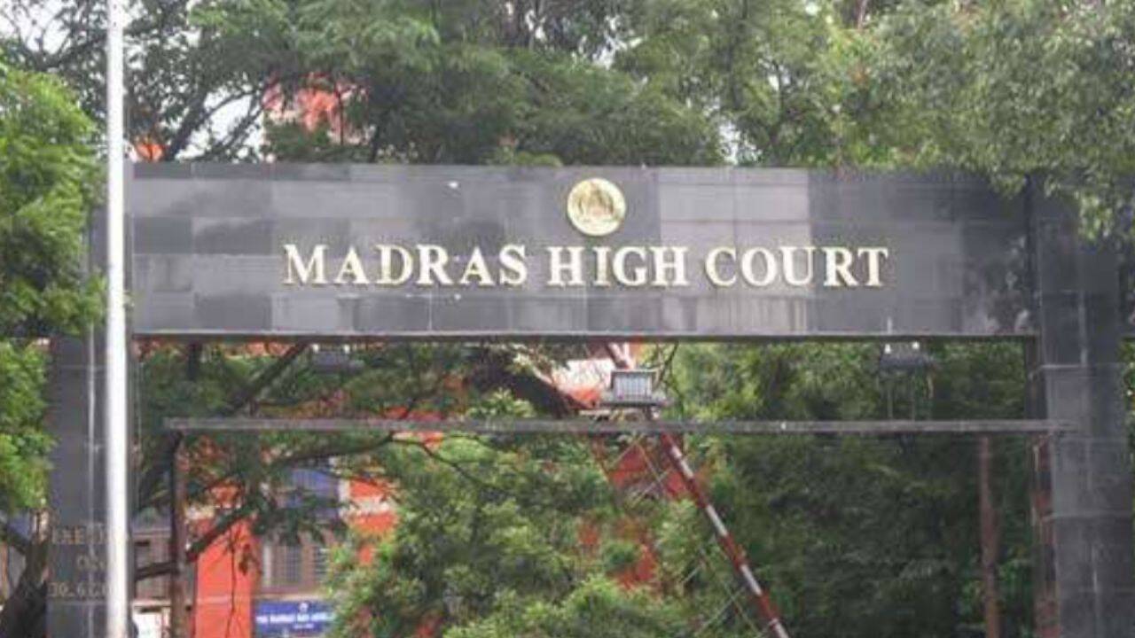 GCC councillor moves Madras High Court against Tamil Nadu CM Vijay's birthday celebrations in schools